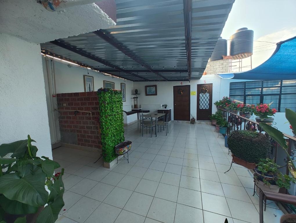 Imagen 3