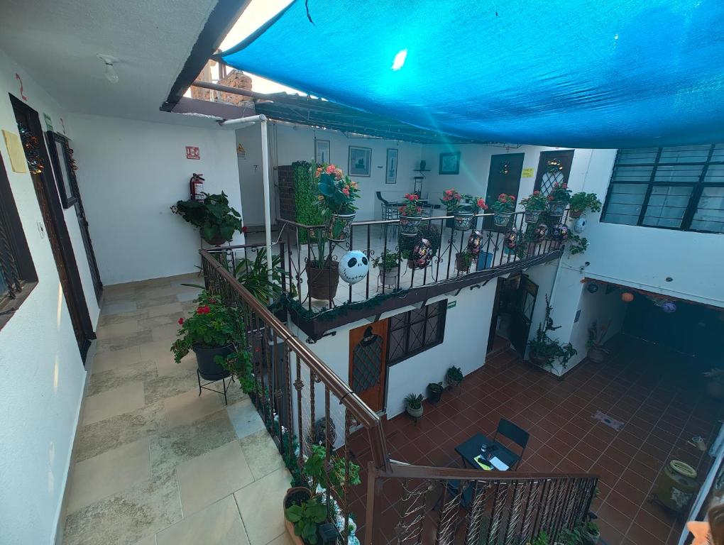 Imagen 2